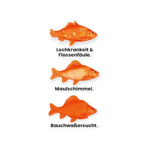 COLOMBO - Morenicol - Cytofex - Krankheiten.jpg